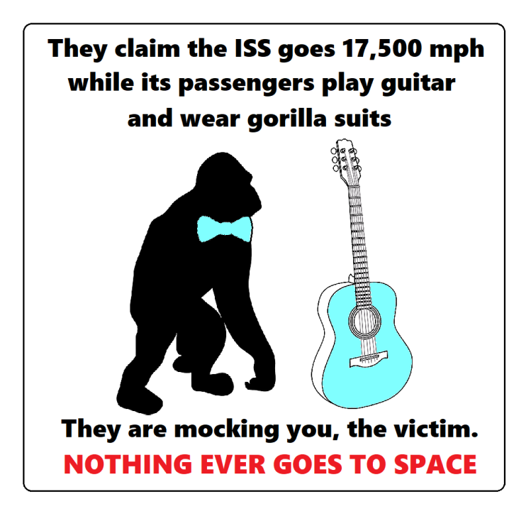 gorilla guitar ISS cropt